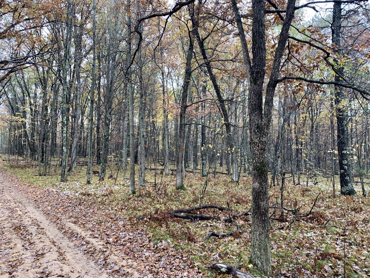 00 Peacock Trail - Photo 1