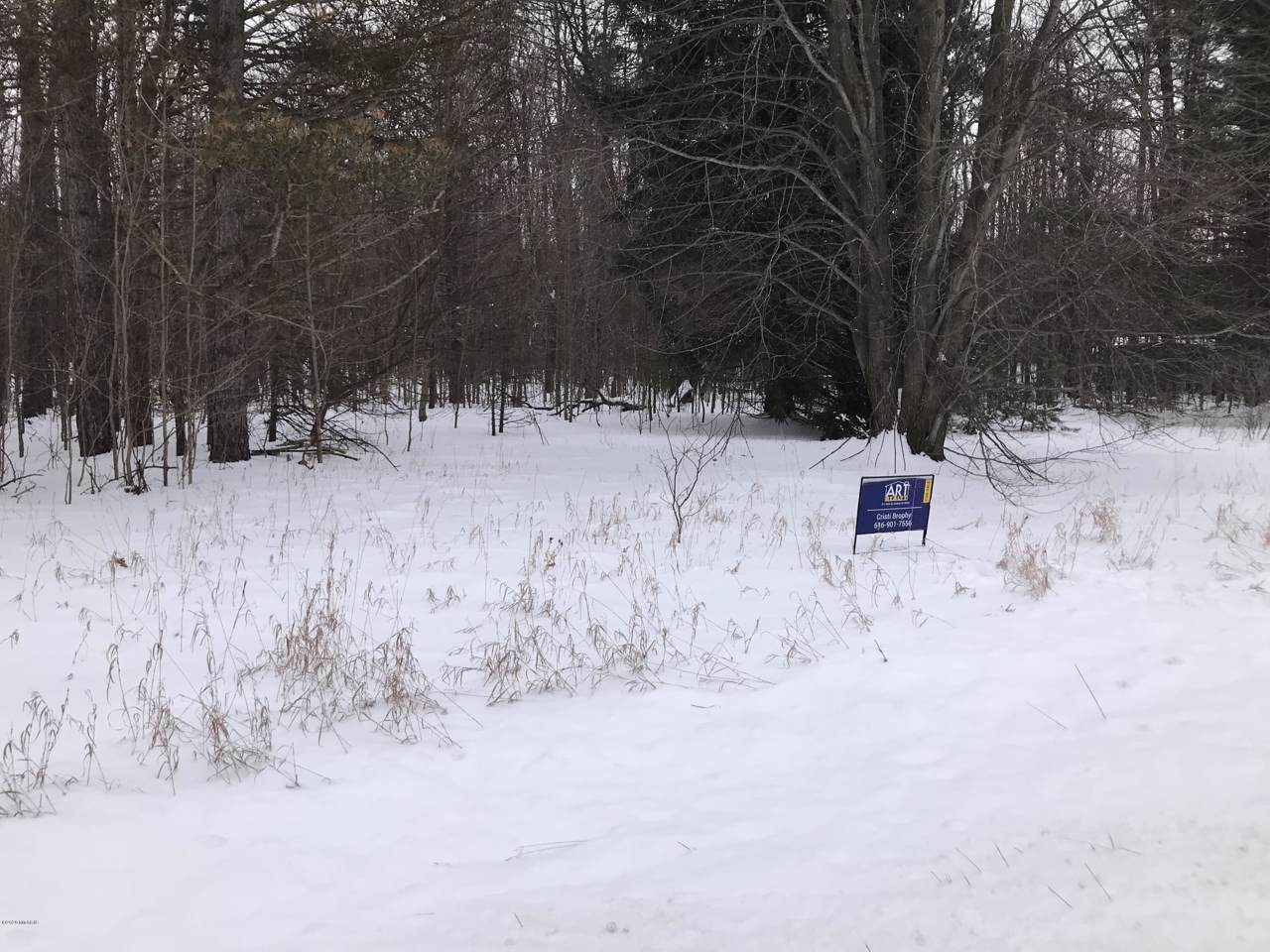 8530 146th Ave Avenue - Photo 1