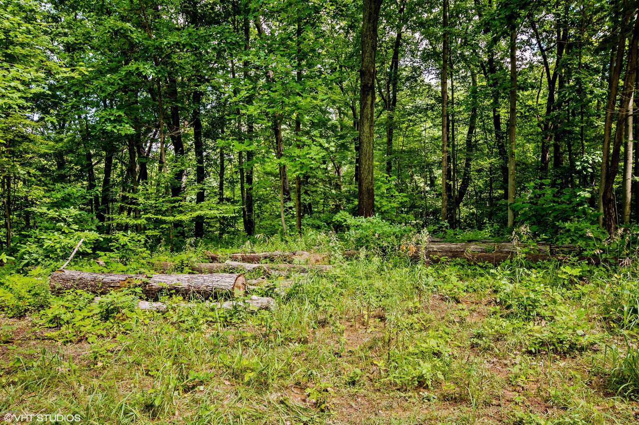 2 Lakeside Lane - Photo 1