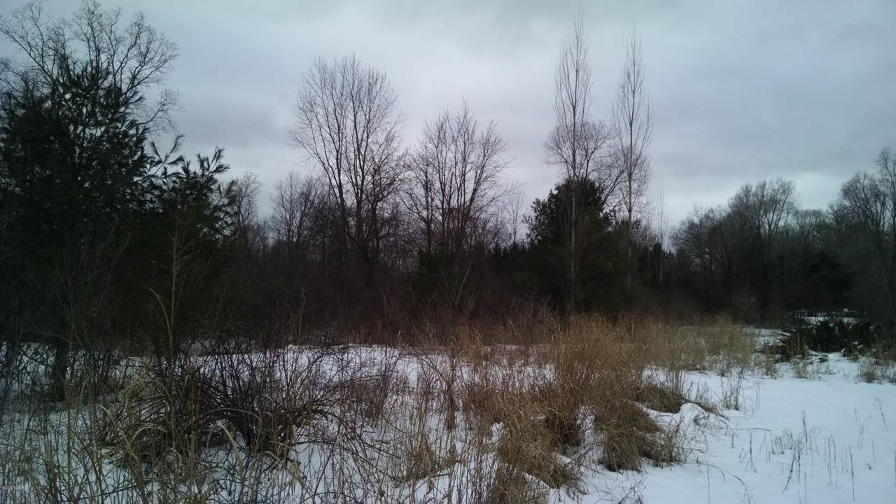 9203 Oxtail Drive - Photo 1