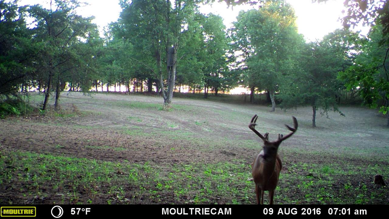 2426 State Road - Photo 1 2426 State Road - Photo 1