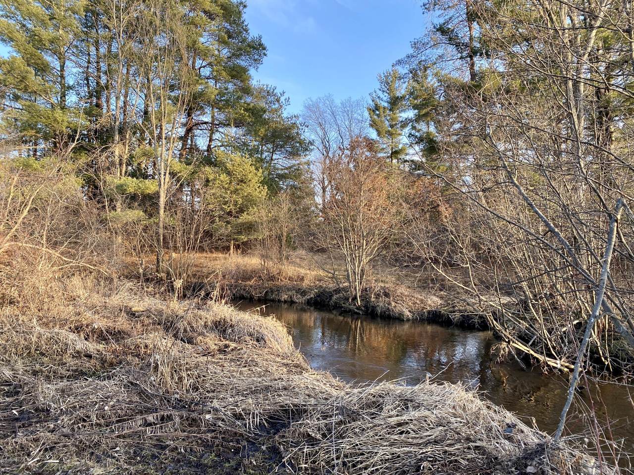 V/L Wildlife Shores - Photo 1
