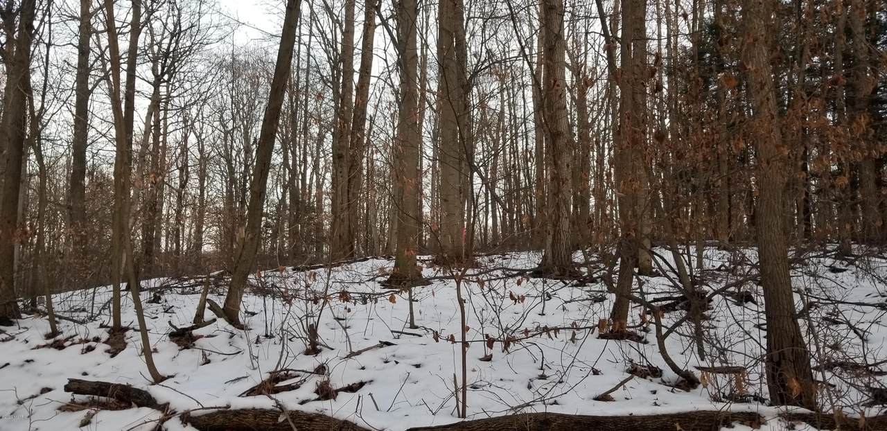 Lot 31 Sable Point Drive - Photo 1
