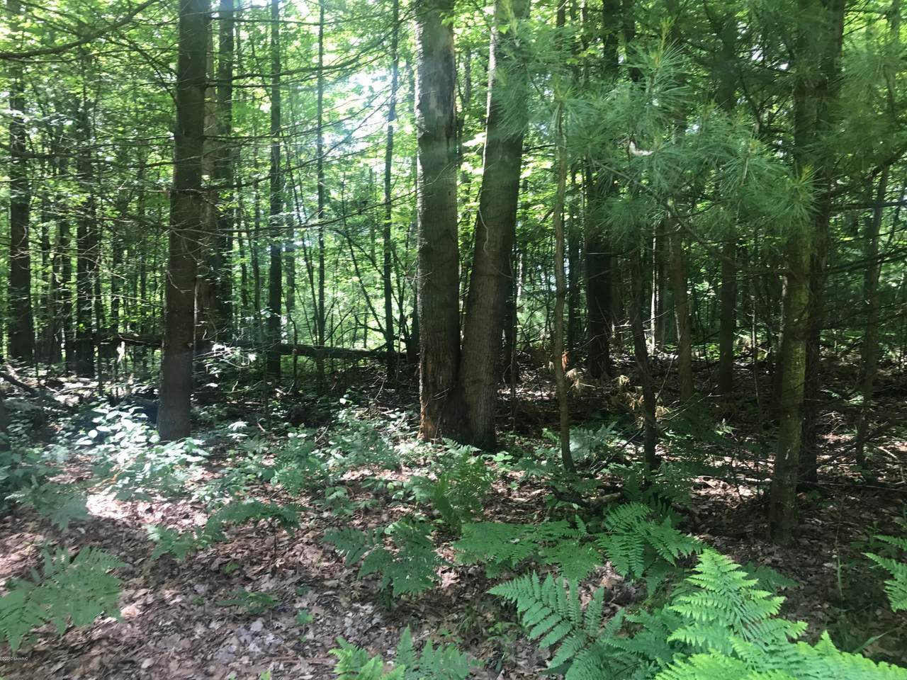 Lot F Beechwood Drive - Photo 1