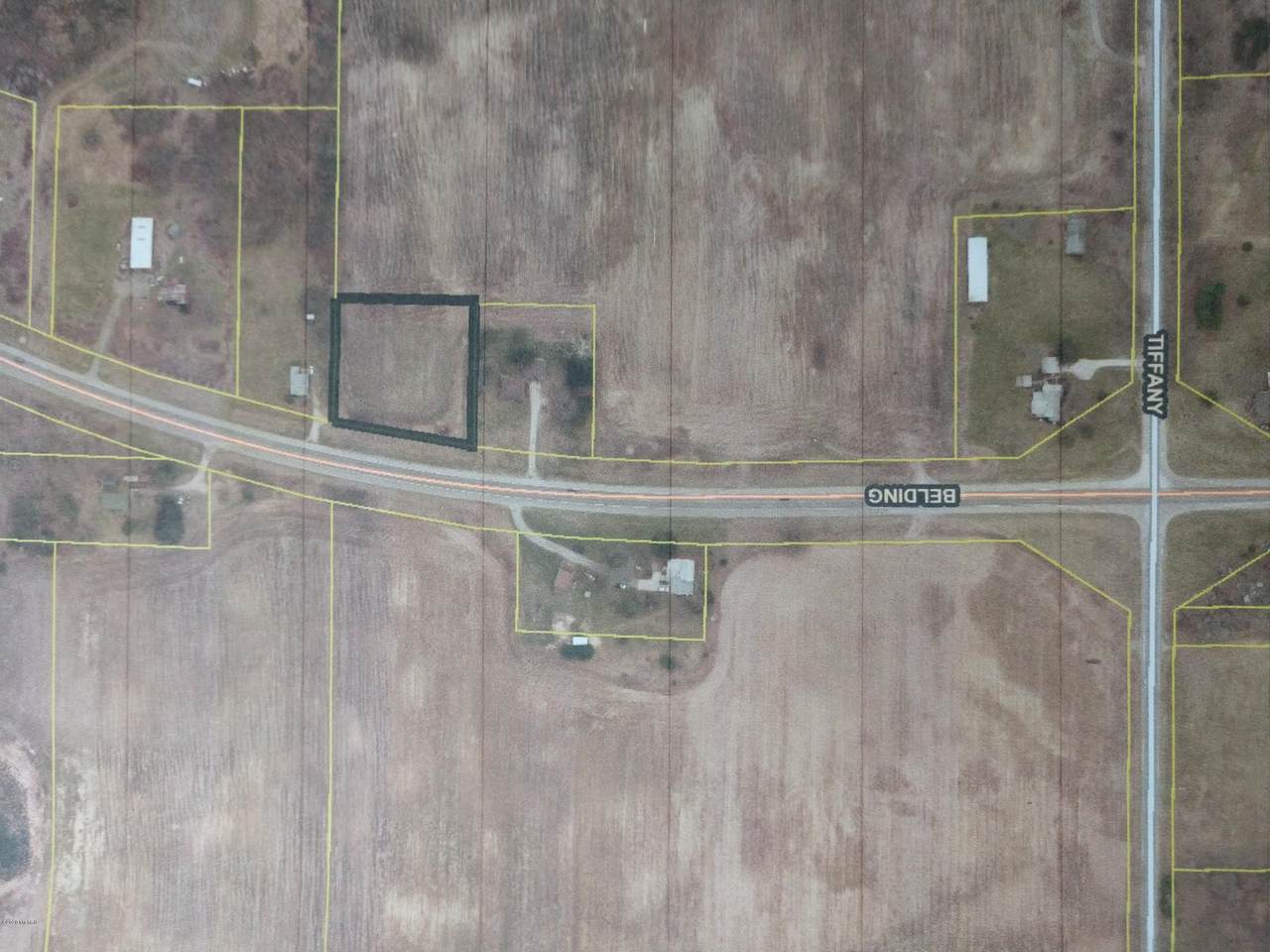 Parcel 2 Belding Rd - Photo 1