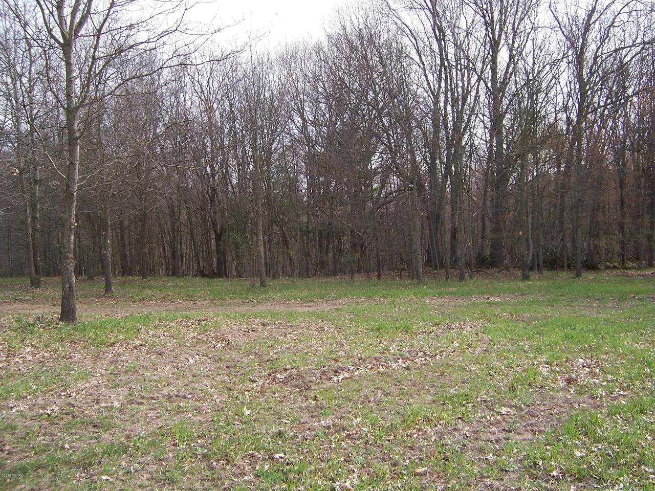 9950 Dickerson Lake Road - Photo 1