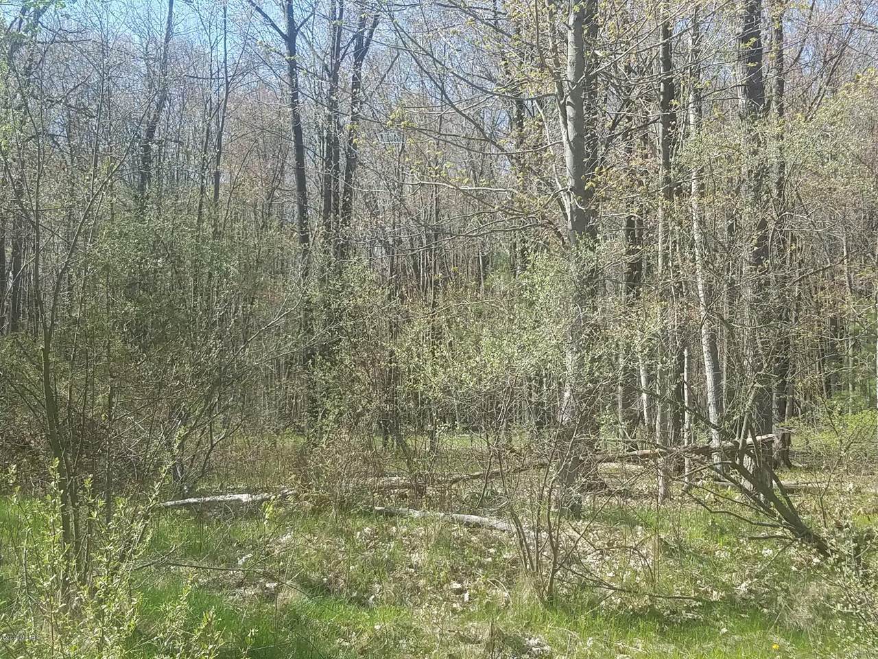 0-Lot 23 Water Tower Lane - Photo 1