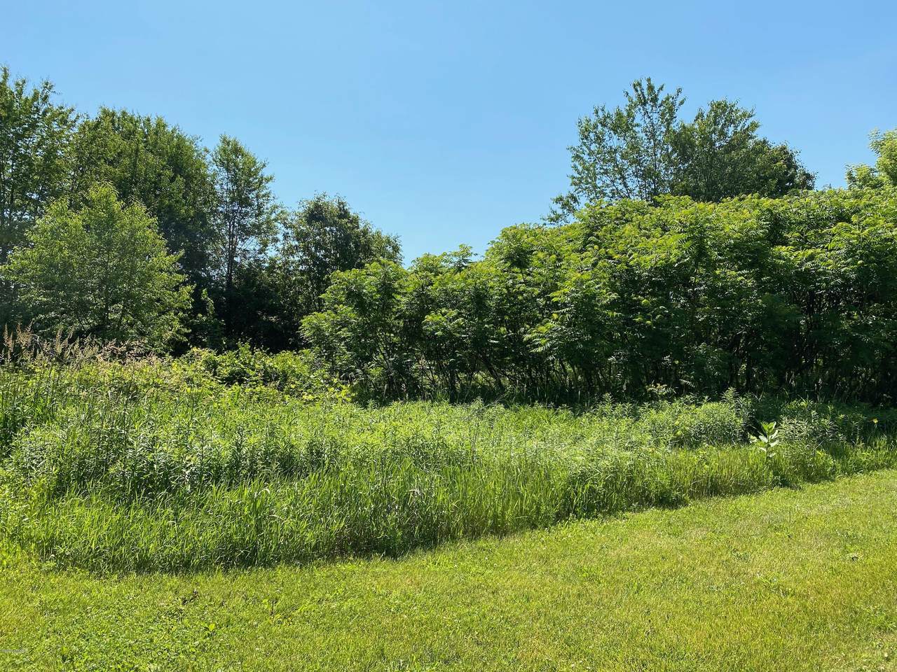 6460 Hollison Drive - Photo 1