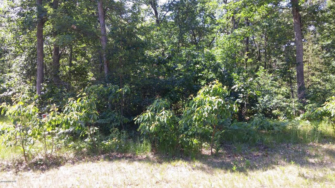 Lot 165 Danc - Photo 1