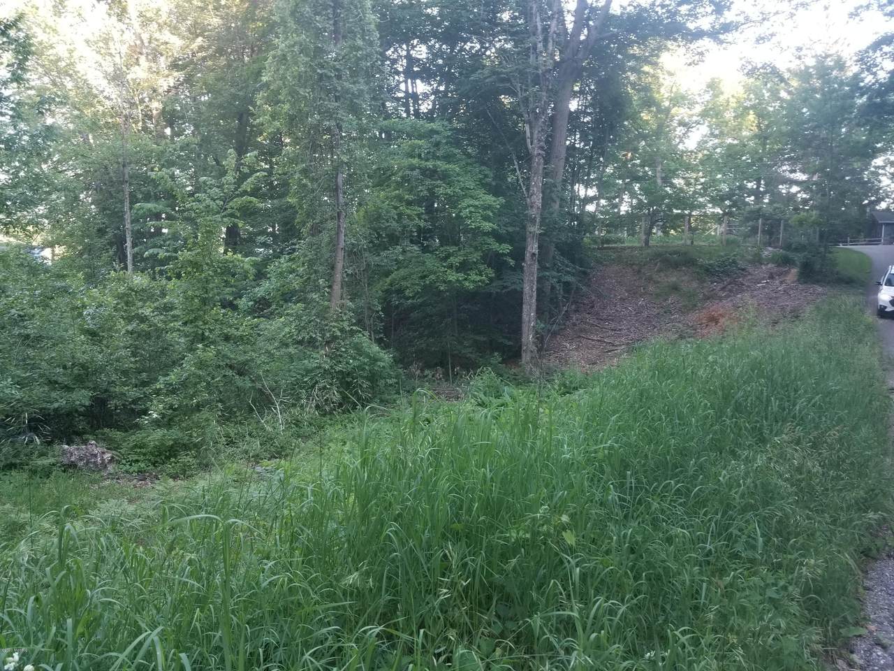 0 Butternut Drive - Photo 1