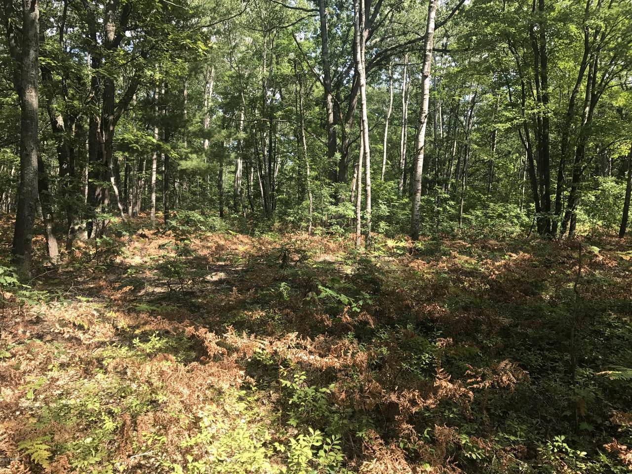 NN Muscott Trail - Photo 1