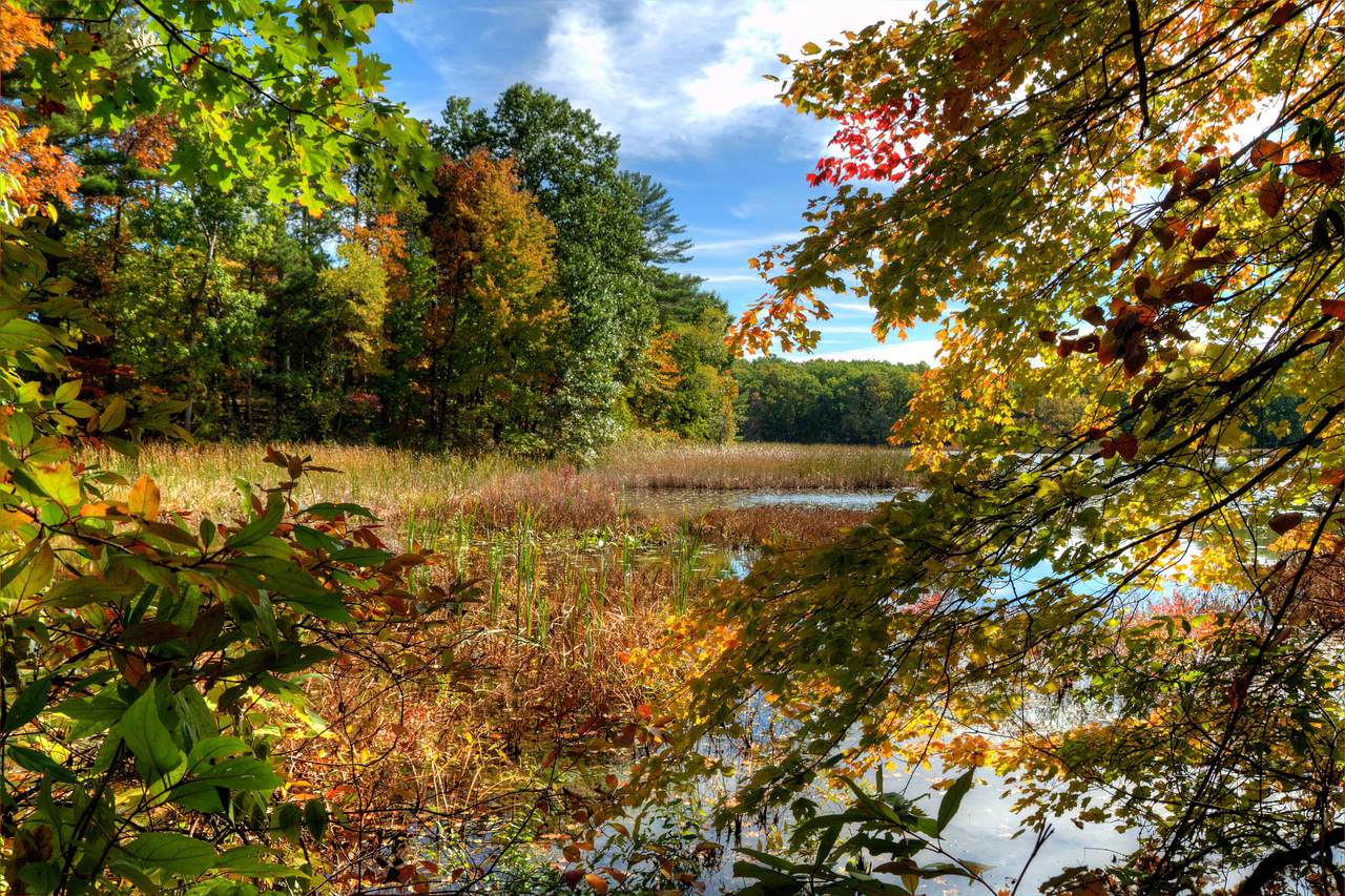 https://bt-photos.global.ssl.fastly.net/swmich/orig_boomver_3_20026697-2.jpg