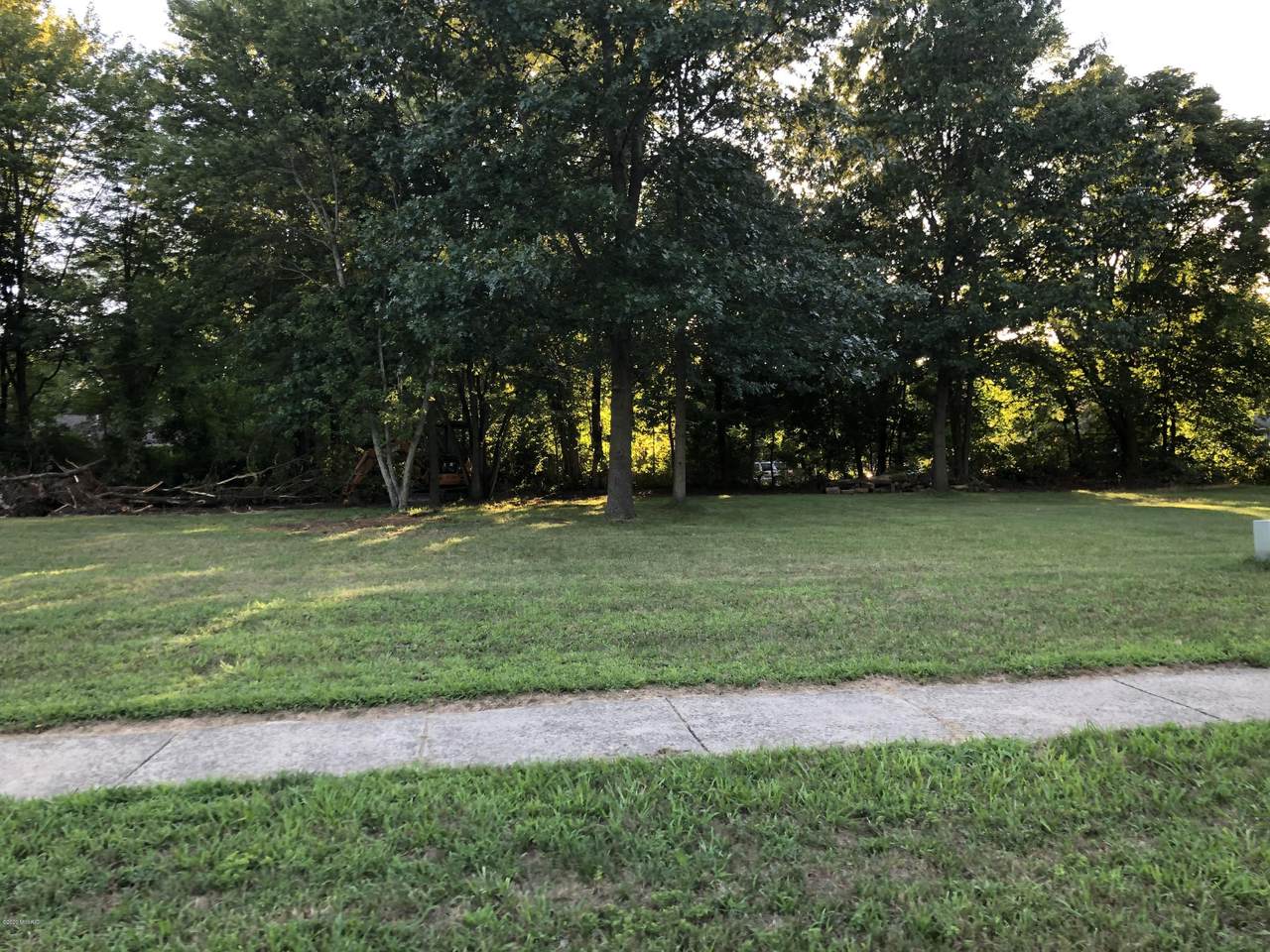 Forest Brook - Photo 1
