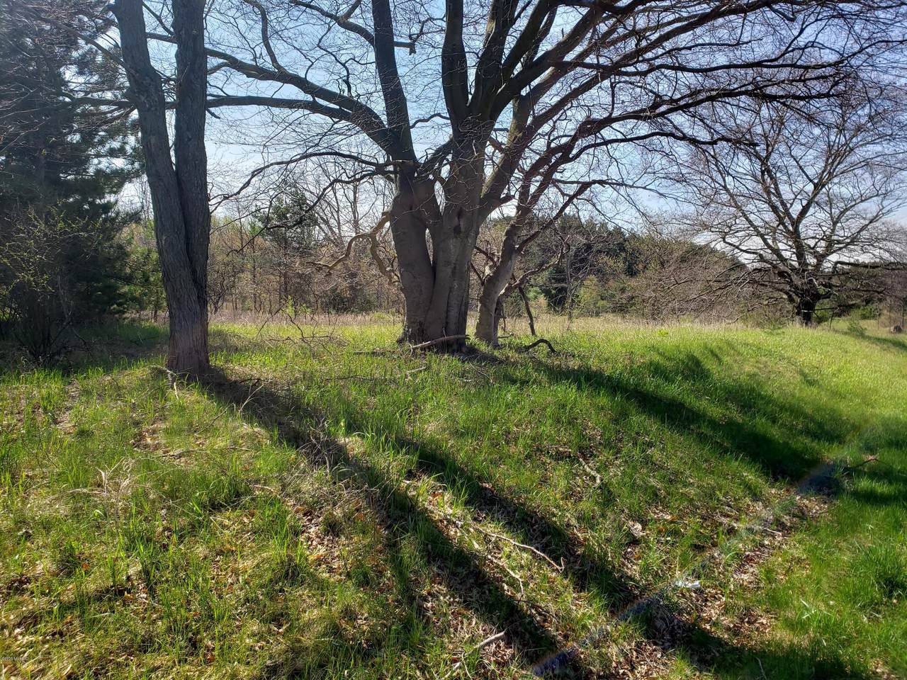 120Th. Avenue - Photo 1