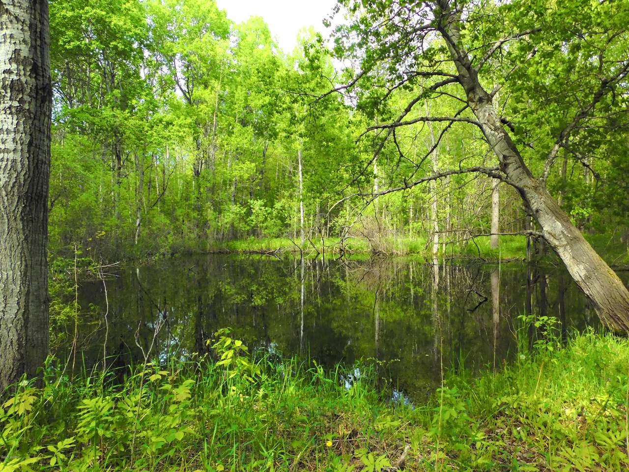 40 Acres 9 Mile Road - Photo 1