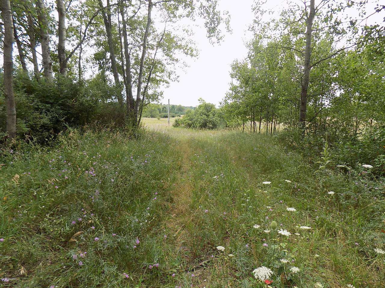 0 Roosevelt Rd. - Photo 1