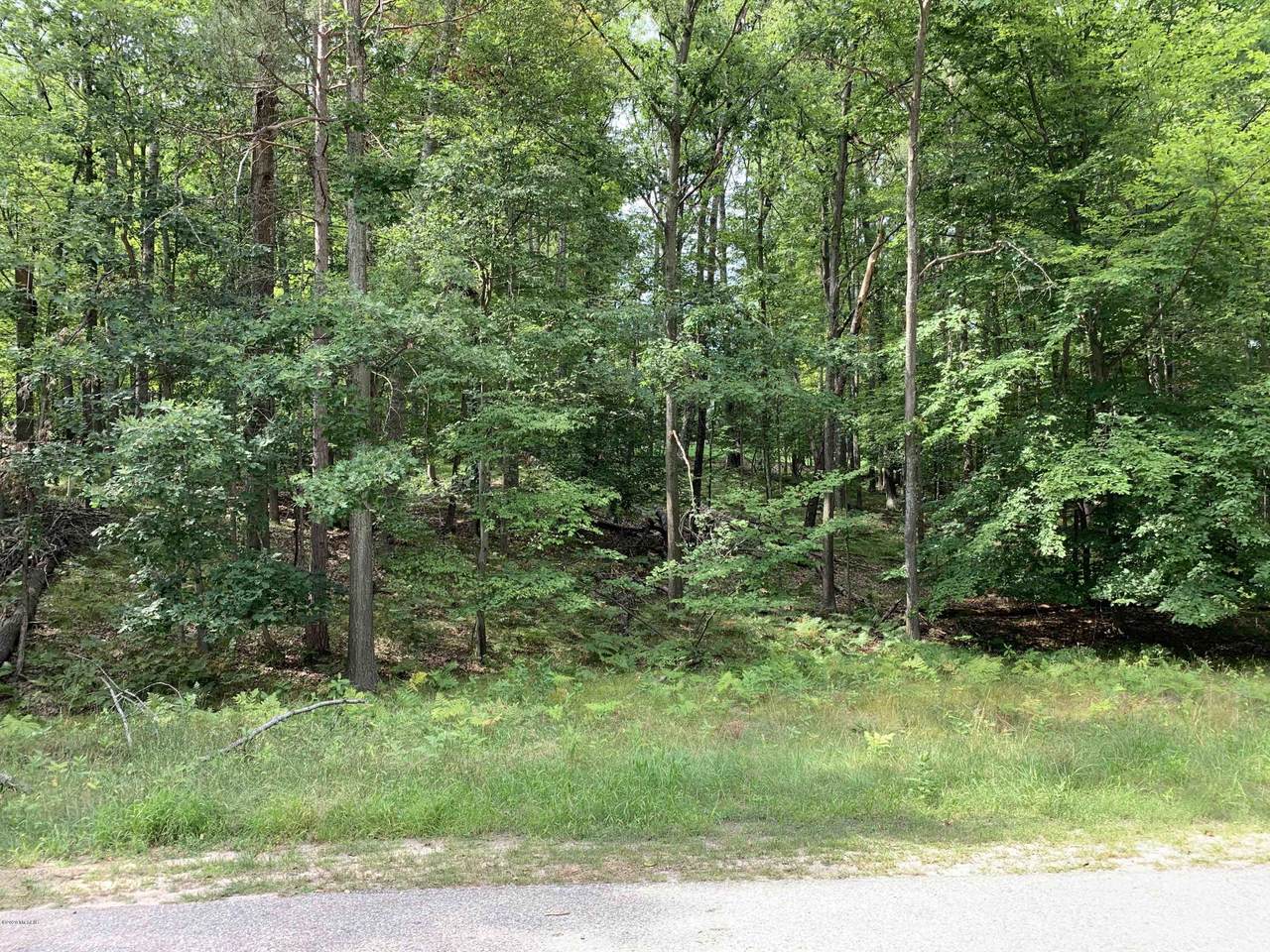 8975 Canyon Springs Court - Photo 1