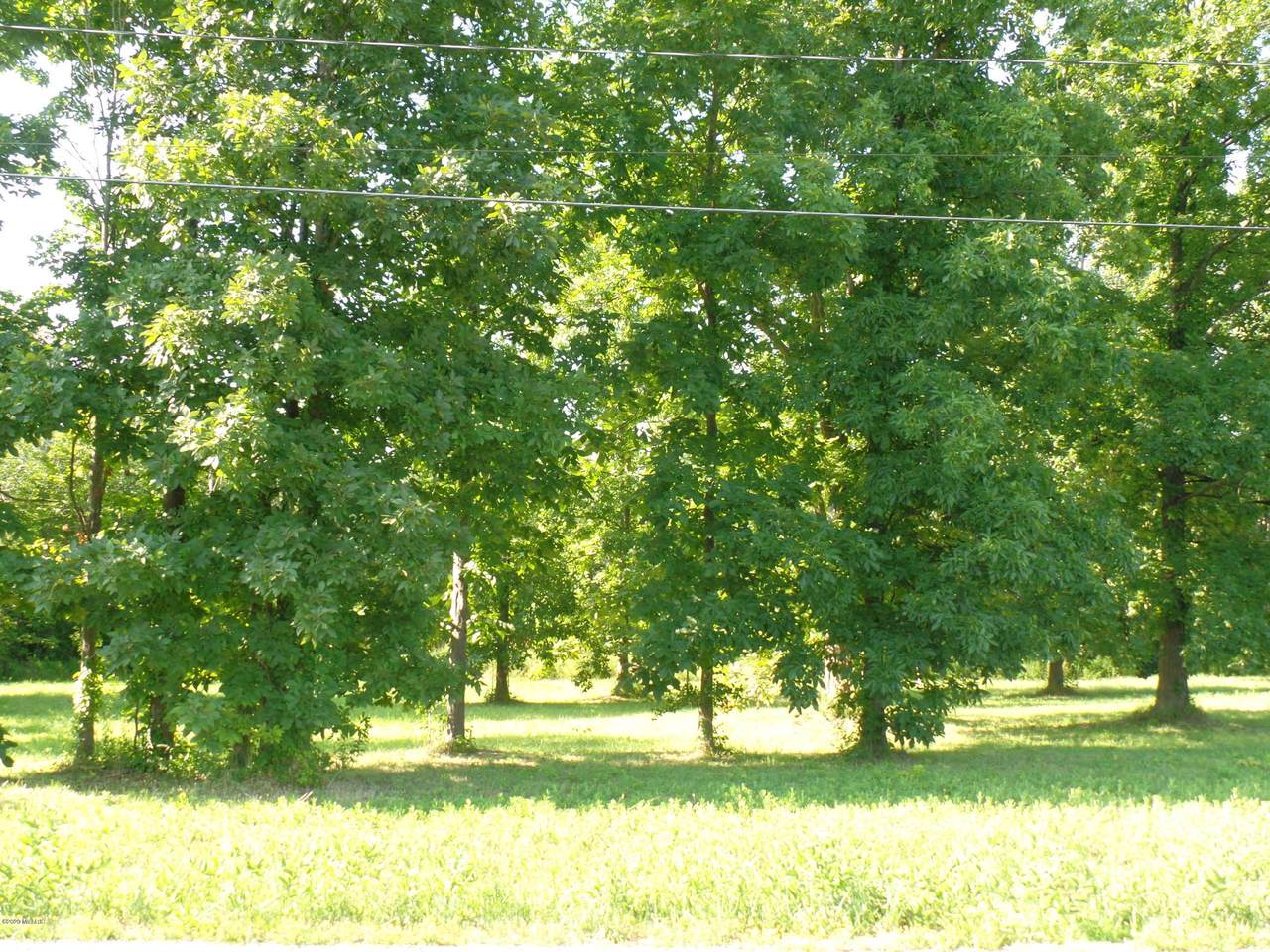 12th Avenue - Photo 1