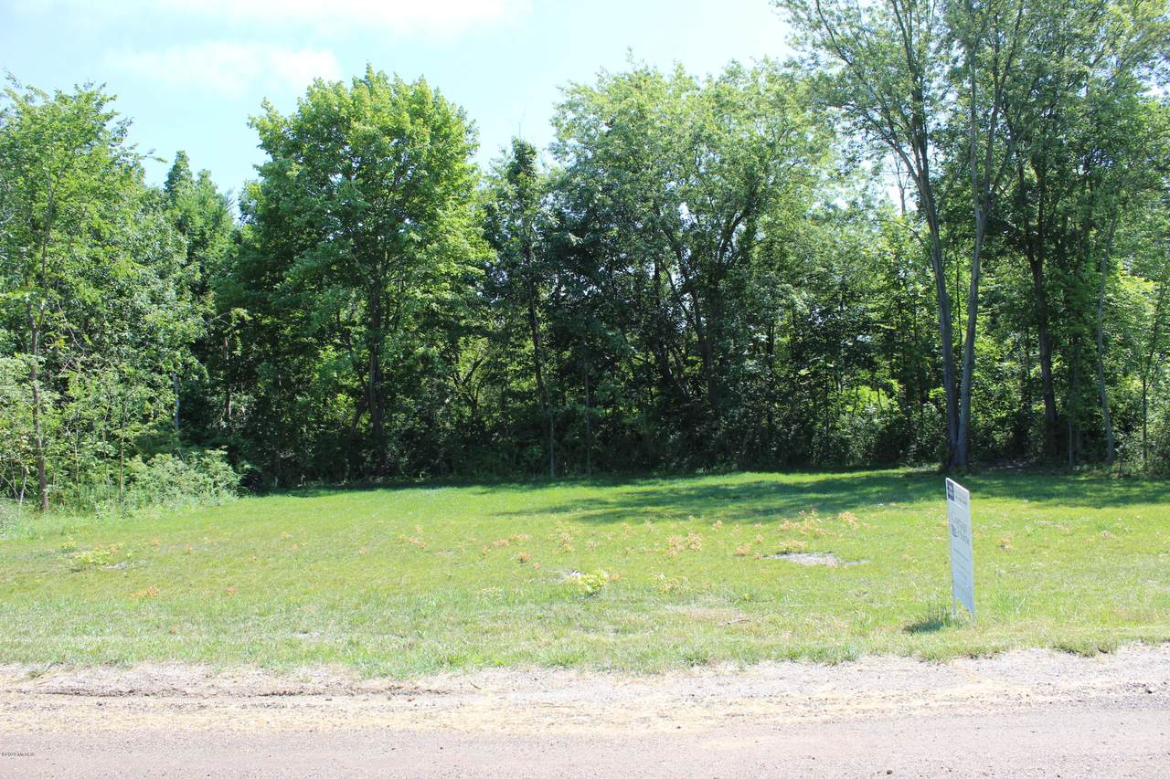 Parcel 1 Elm Street - Photo 1