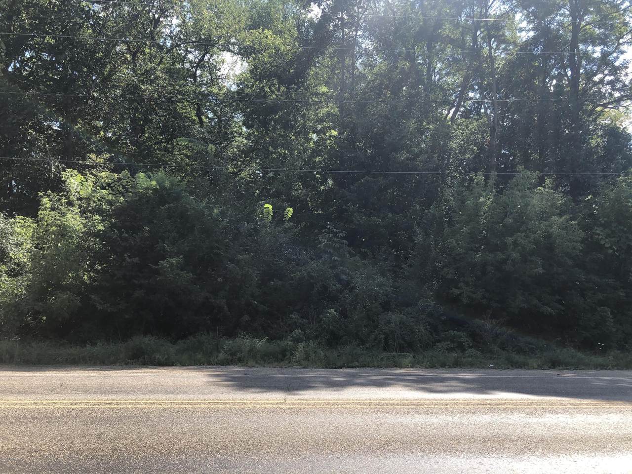 Morgan Rd Vl - Photo 1