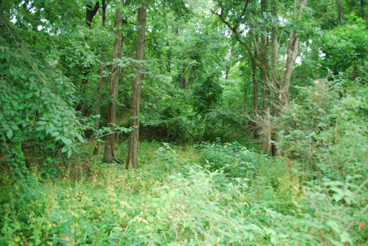 0 Whitefoot Trail - Photo 1