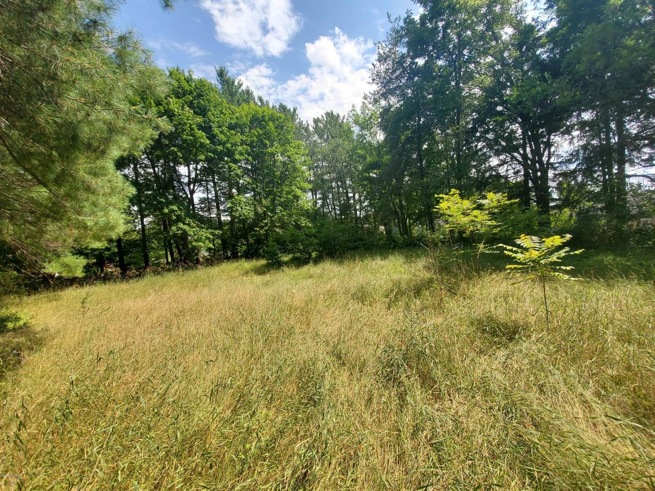 0 Garfield Street - Photo 1