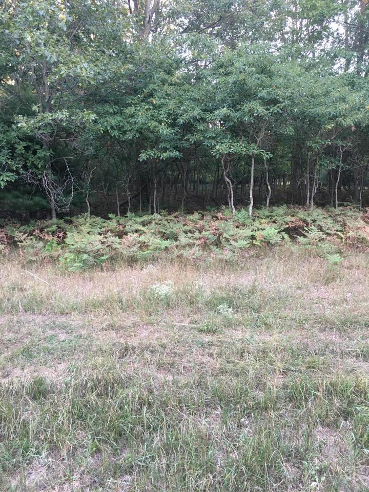 Lot 15 48th Avenue - Photo 1
