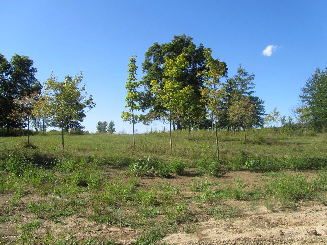 5951 Golden Hollow Drive - Photo 1