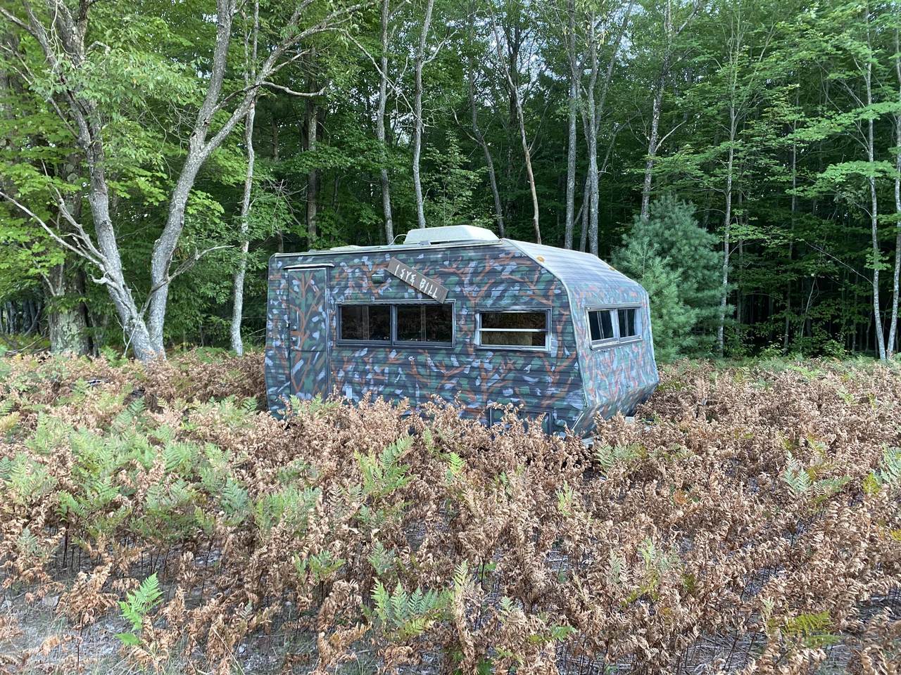80 Acres Healy Lake Road - Photo 1