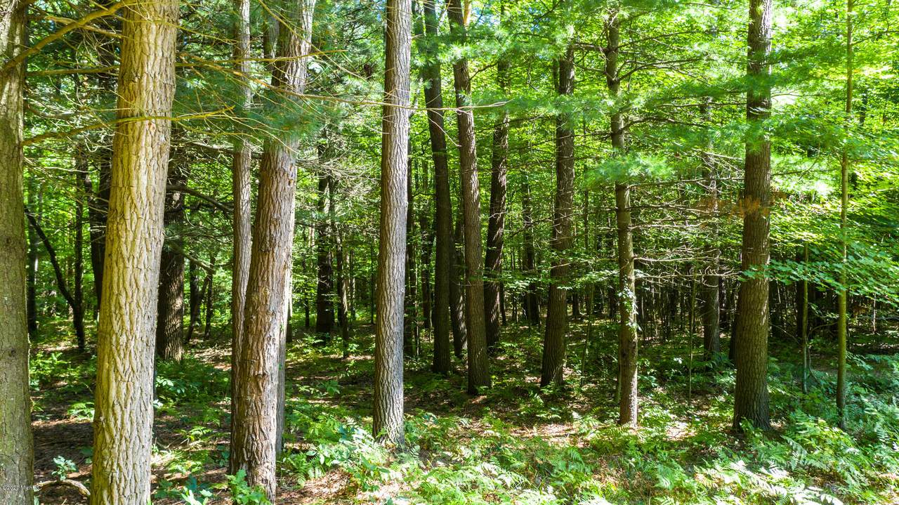 Stone Bridge Trail - Photo 1