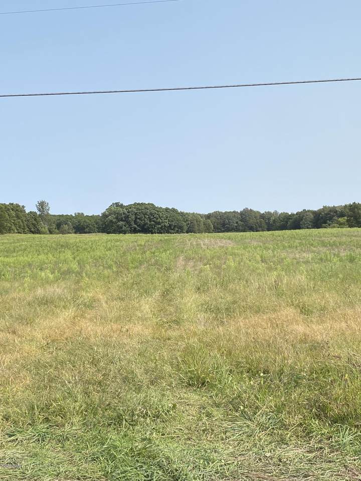0 Tripp Road - Photo 1