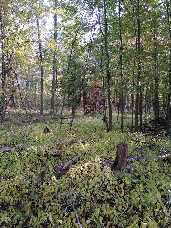 2660 Englehart Road - Photo 1