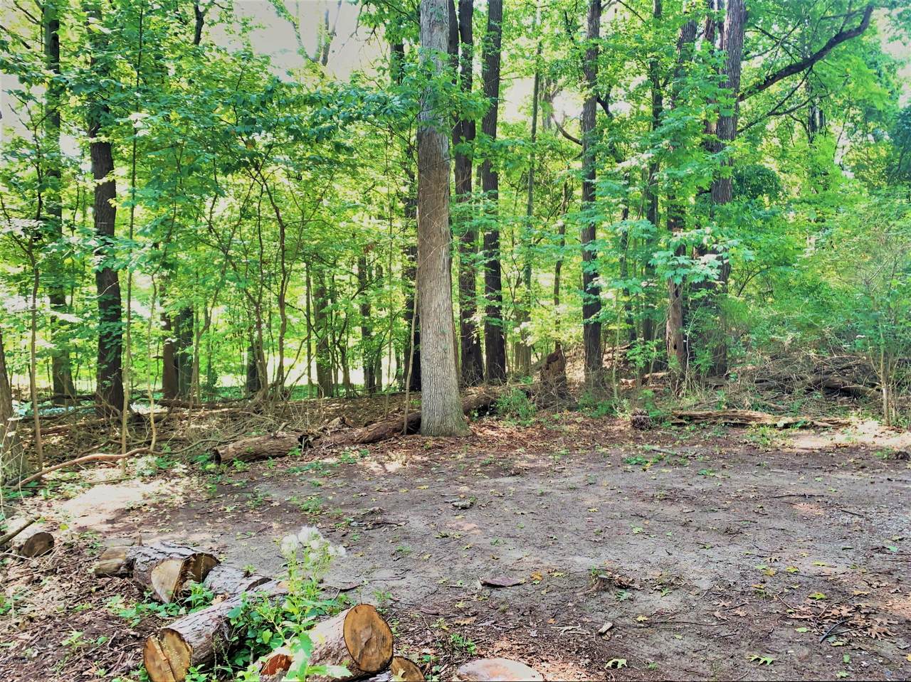 Pine Drive - Photo 1