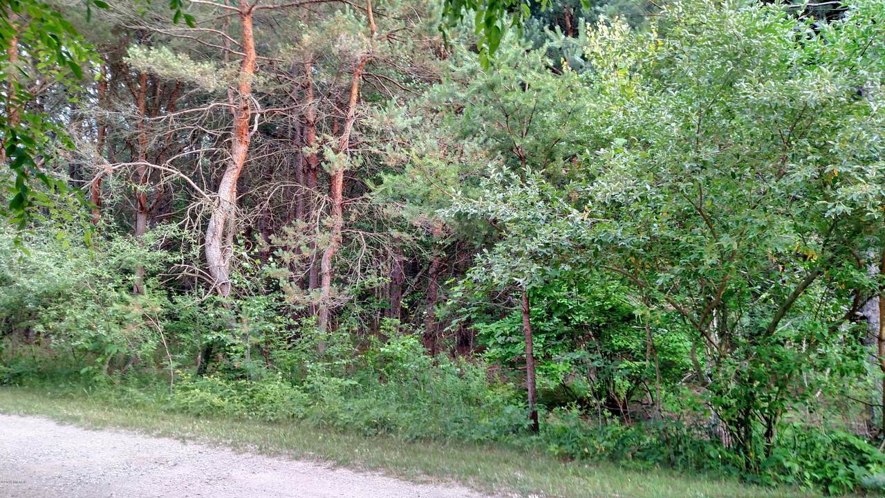 Norway Ct. - Photo 1