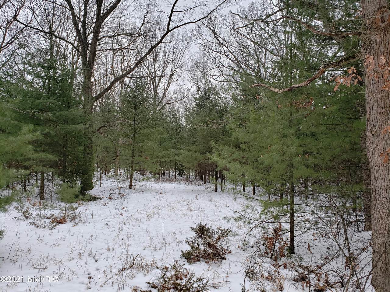 V/L Decker Rd. - Photo 1