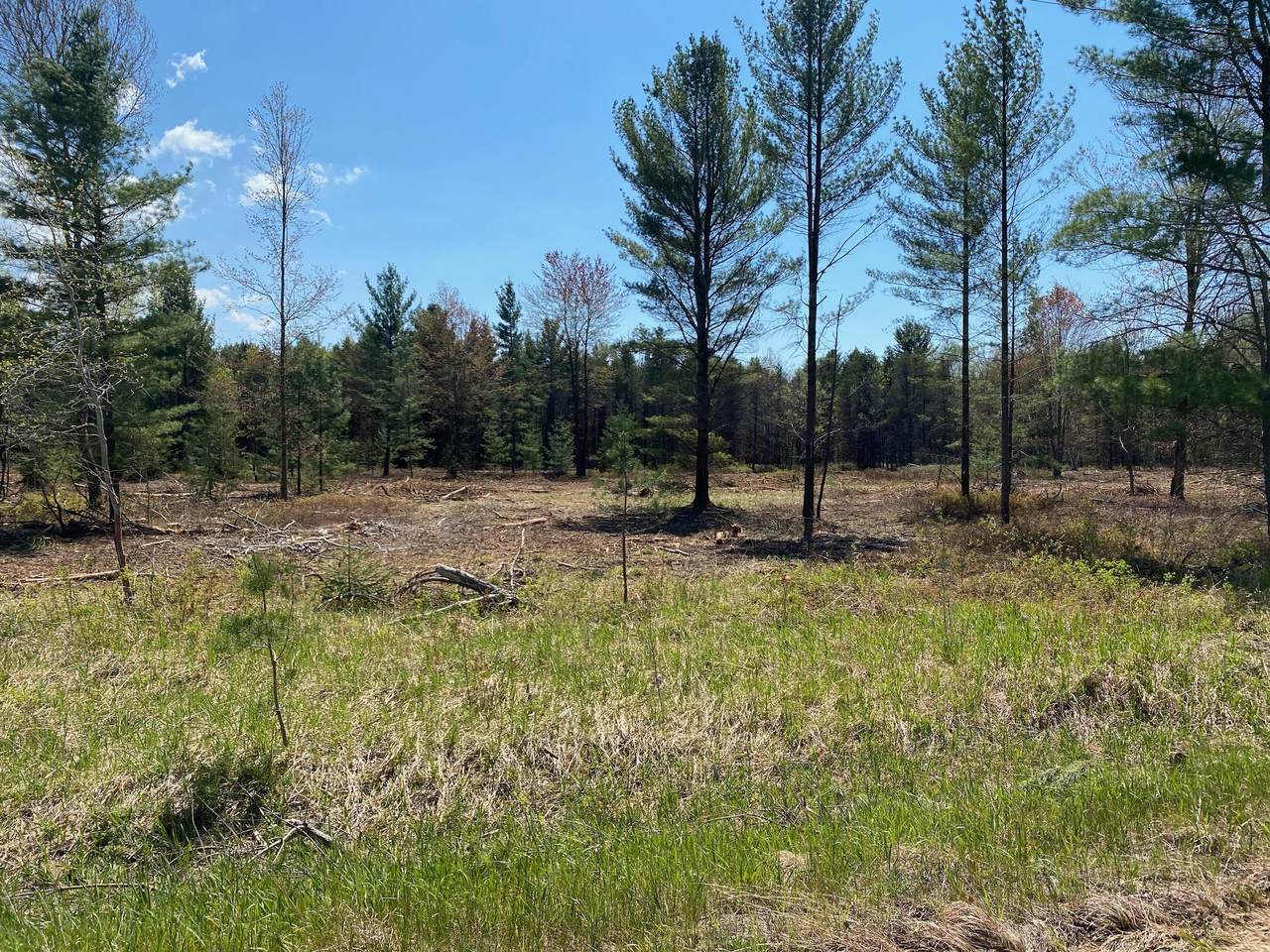 Treml Rd Parcel C-2 - Photo 1