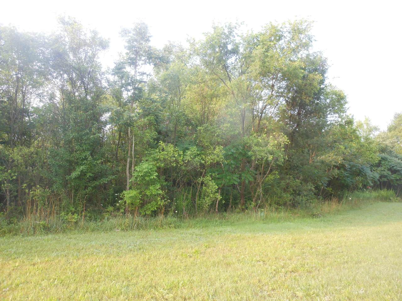 4568 Lake Pines Lane - Photo 1