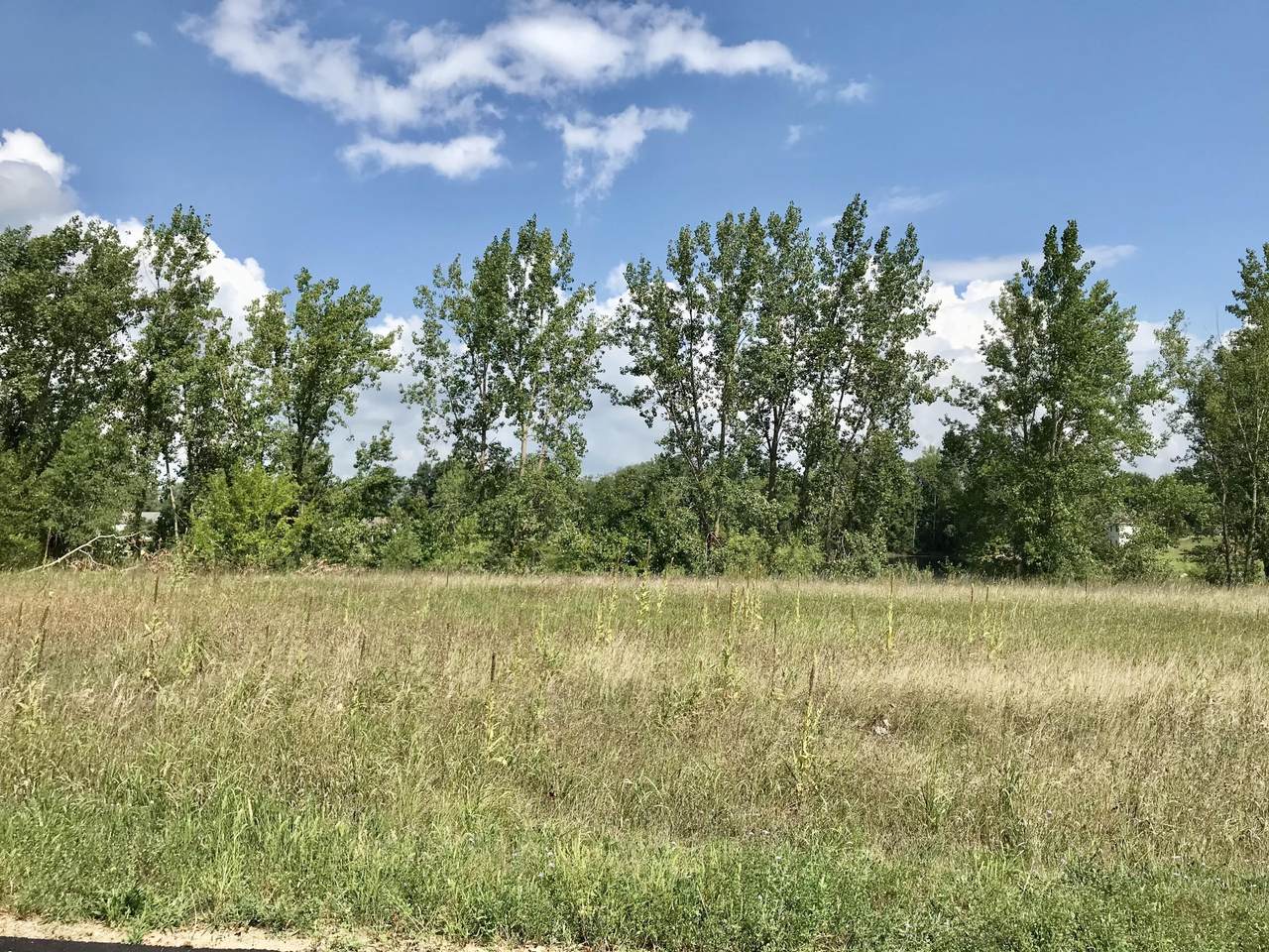 Lot 4 Bison Trail - Photo 1