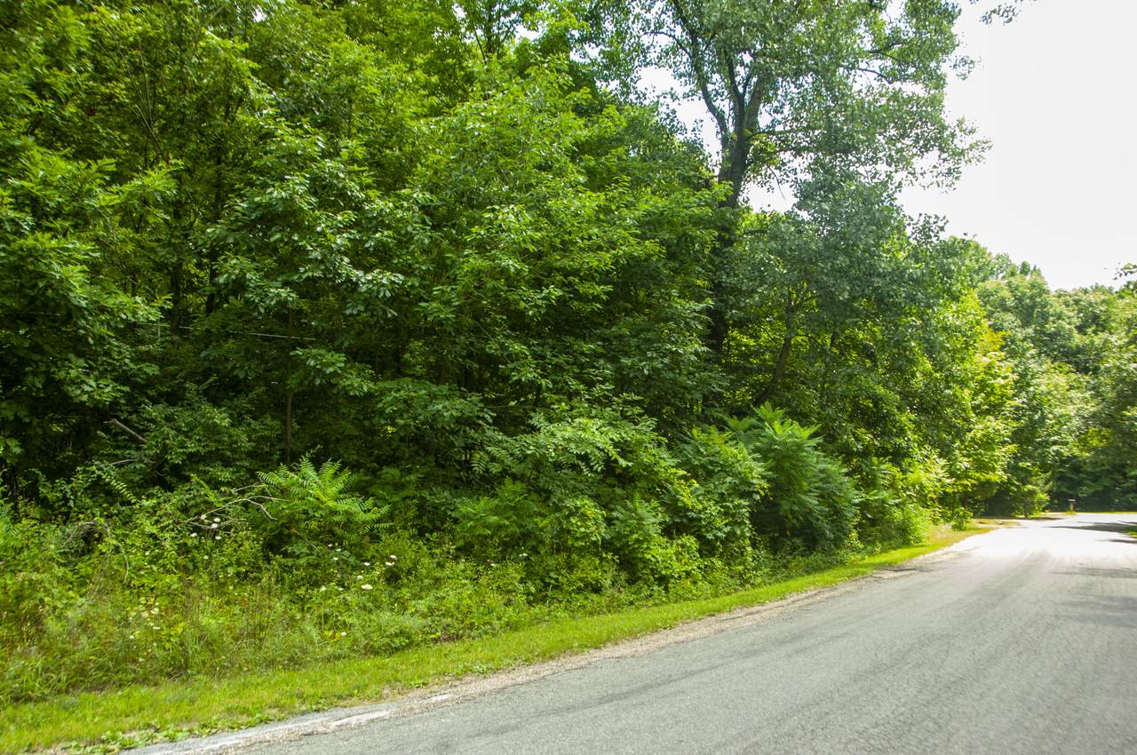 0 Chicago Road - Photo 1
