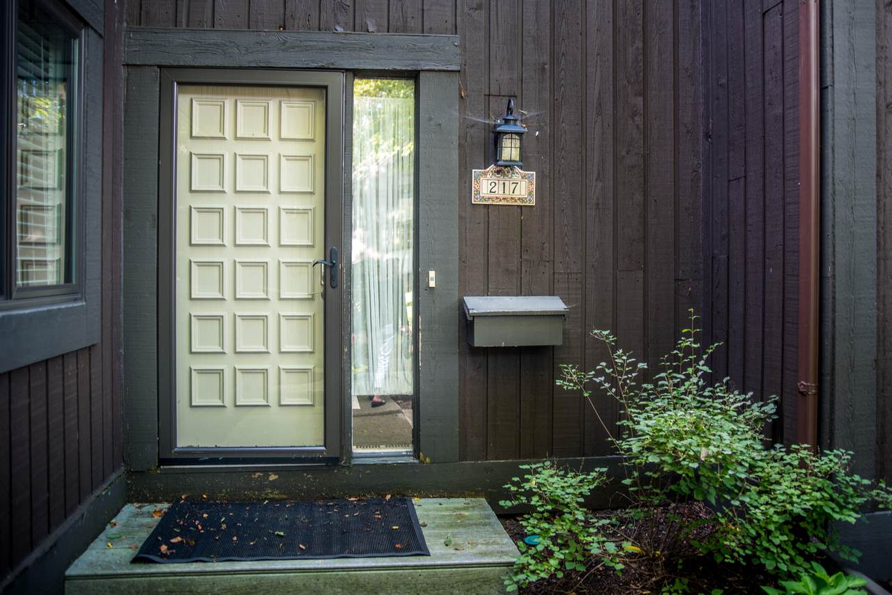 217 Paisley Court - Photo 1