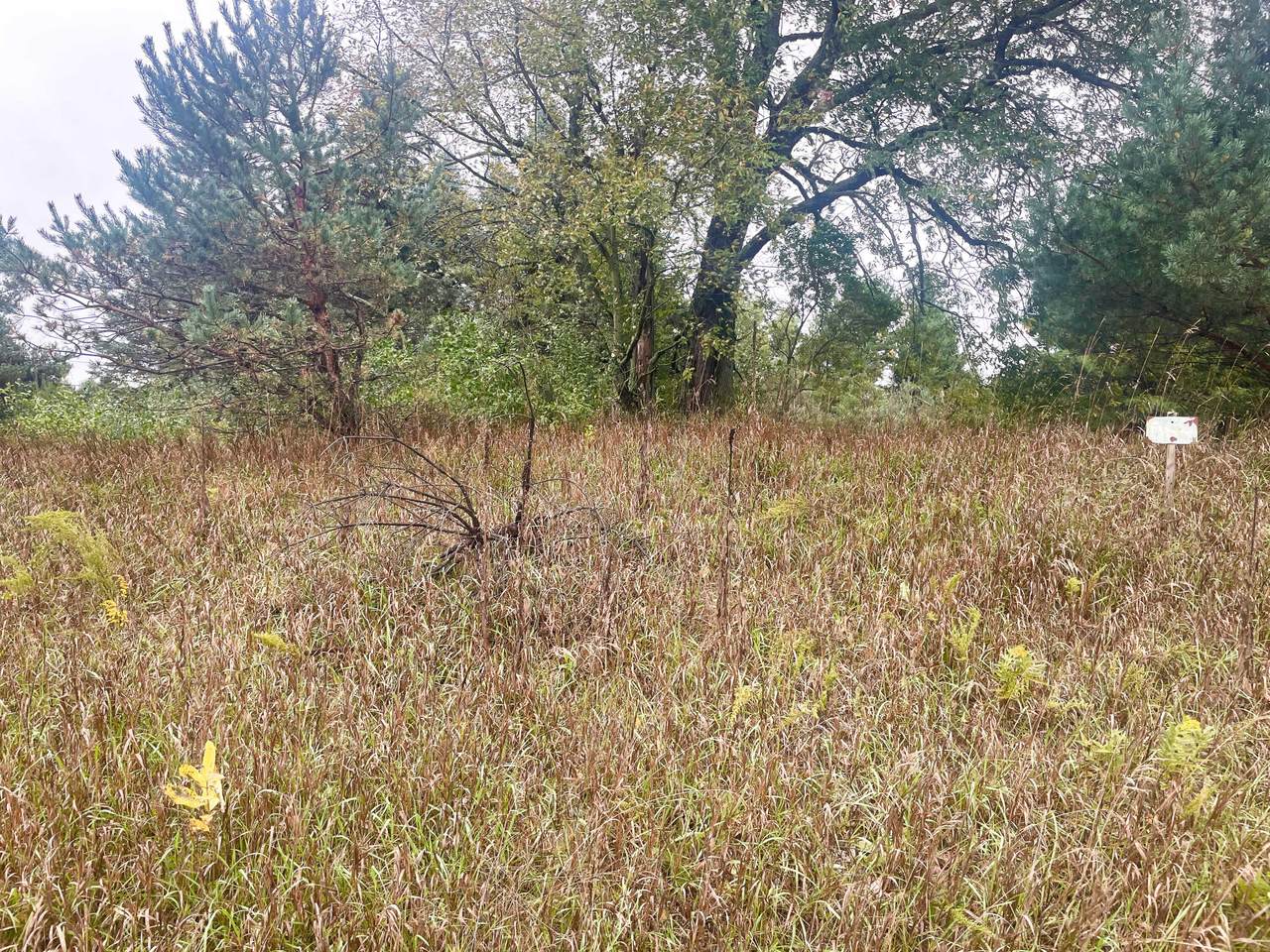 7242 Pierce Road - Photo 1