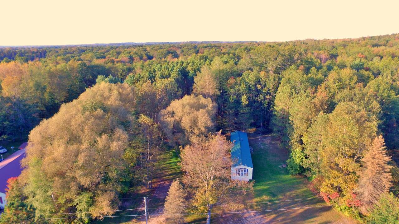 17752 Arthur Road - Photo 1