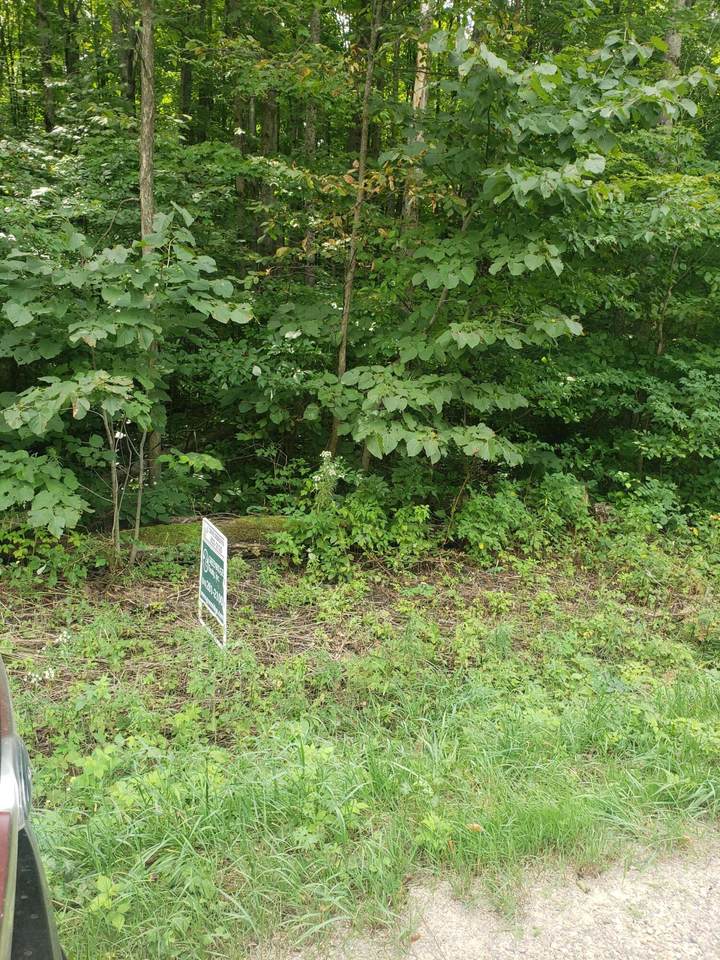 5176 Mancelona Road - Photo 1