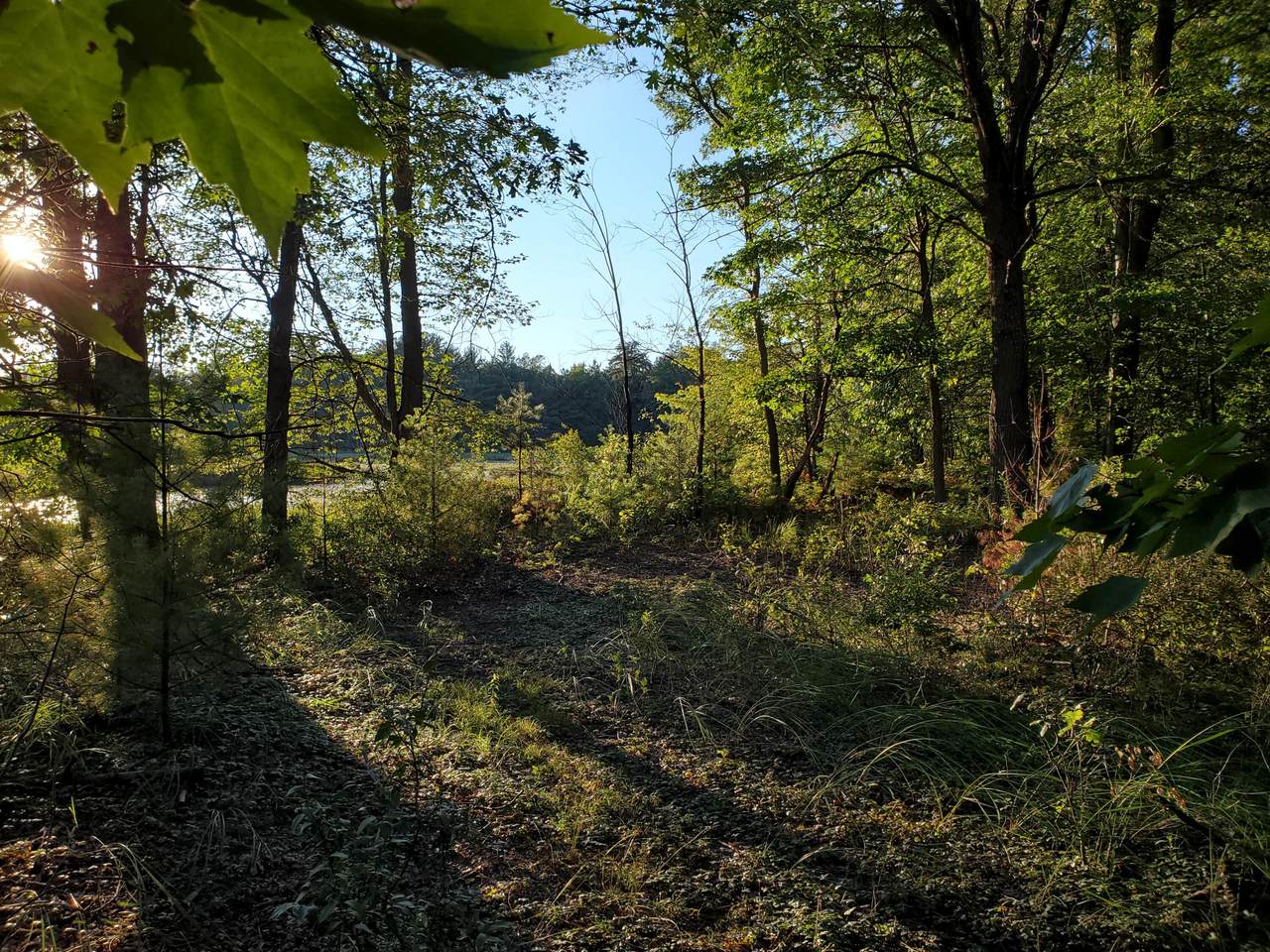 12301 Podunk Road - Photo 1