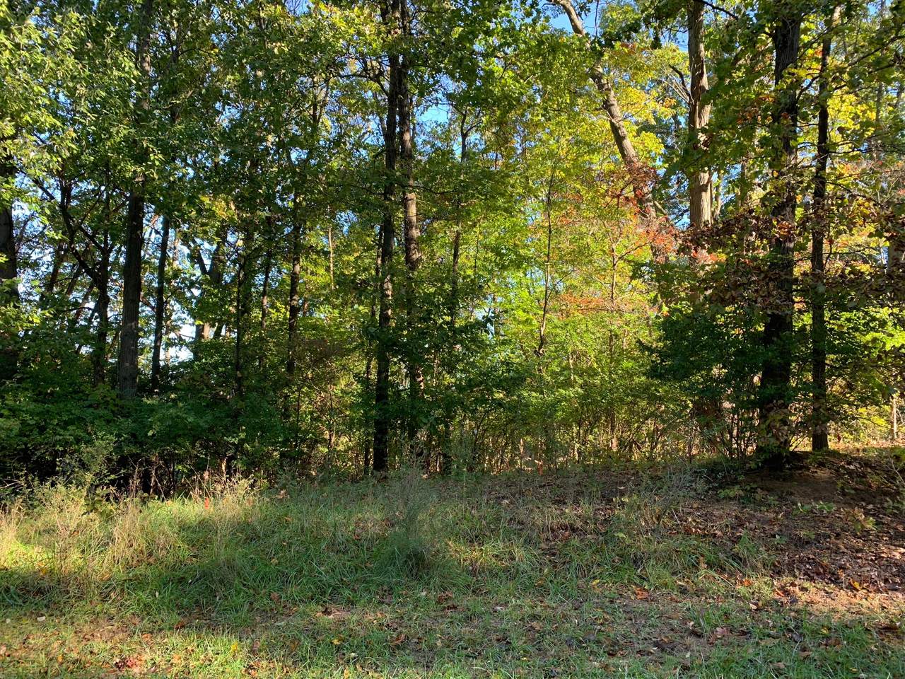 1013 Greyhawke Ridge - Photo 1