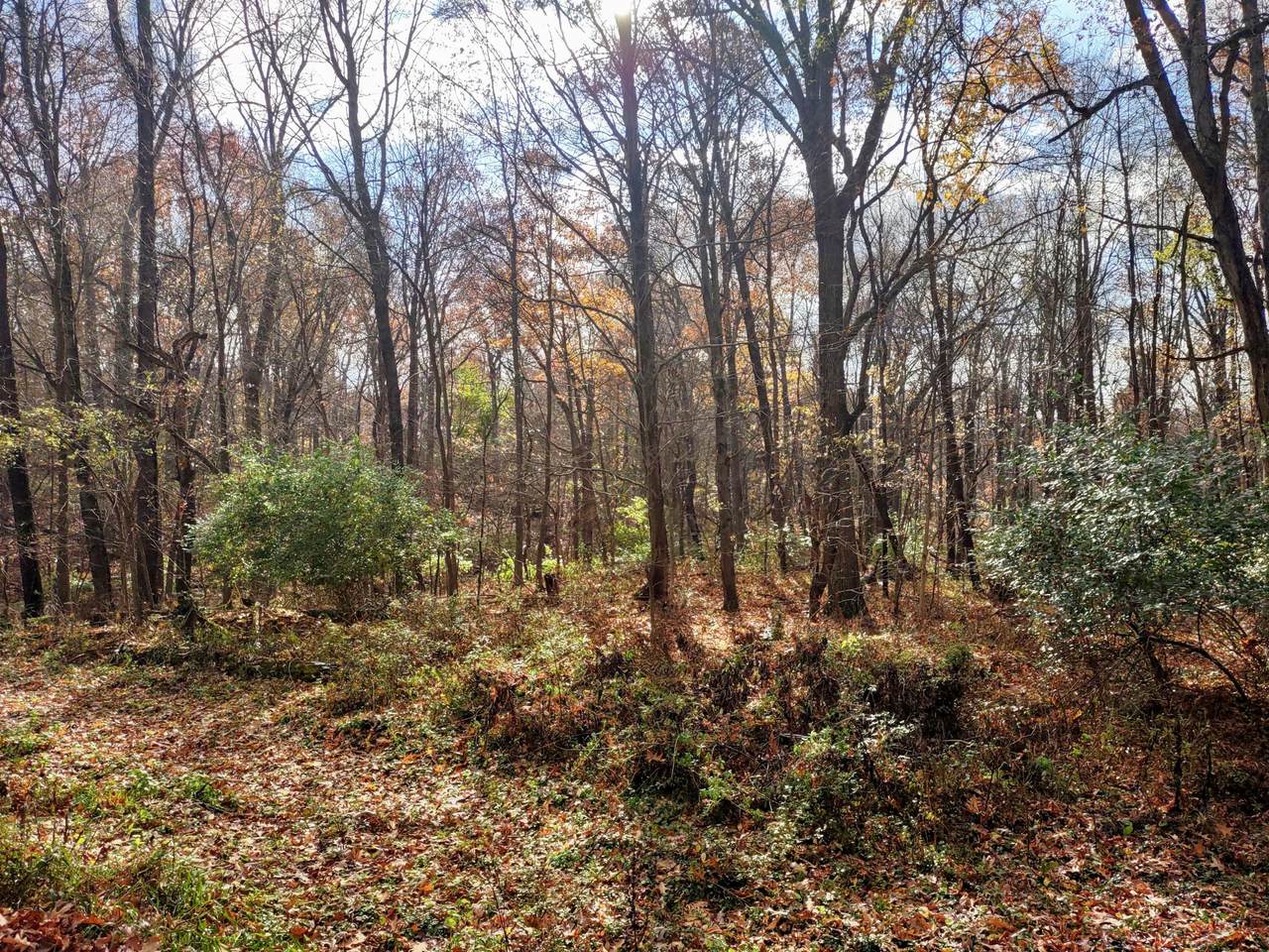 66860 Conrad Road - Photo 1