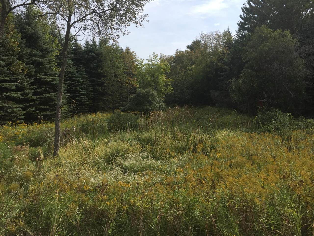 00 Hawkins Road - Photo 1