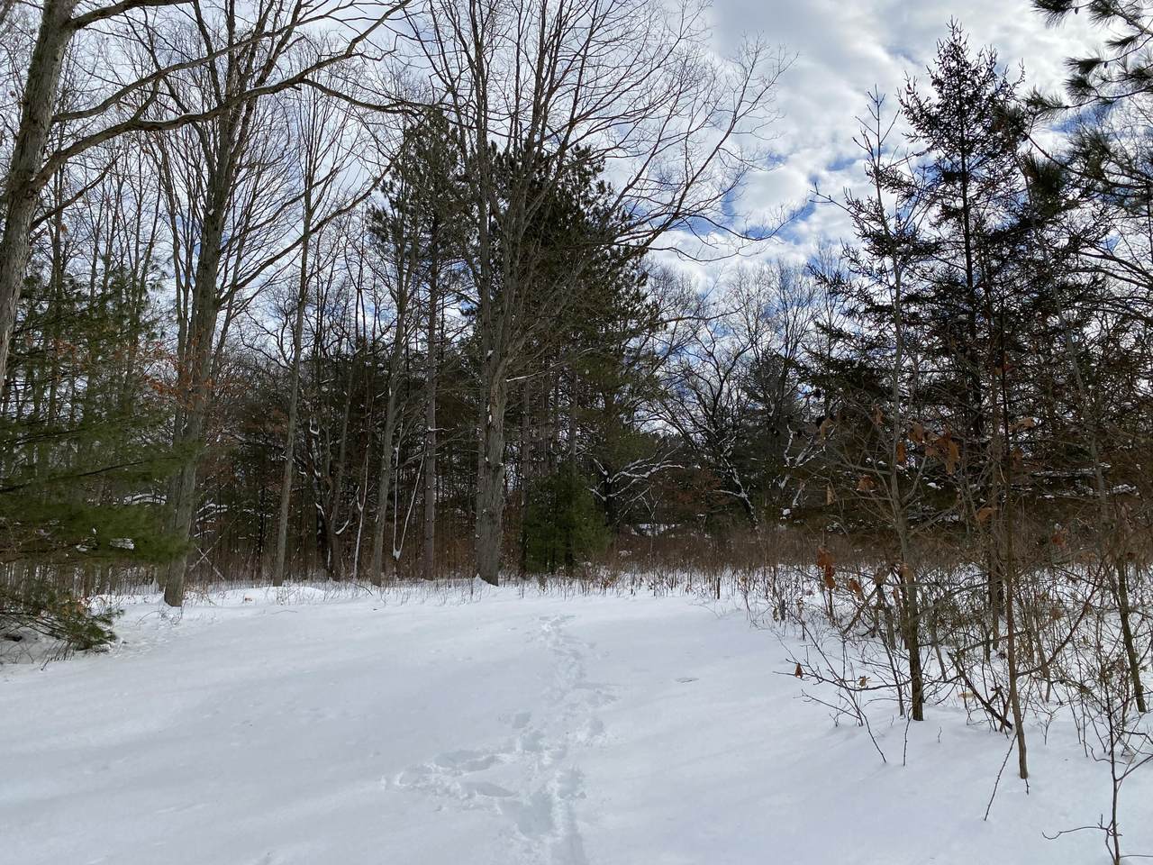50659 County Road 388 - Photo 1