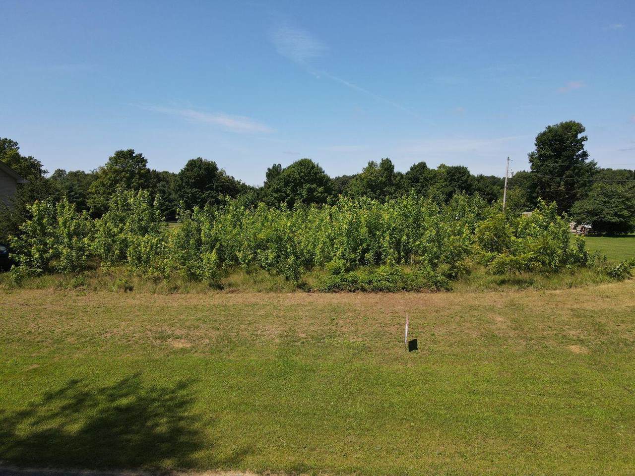 Woodland Drive - Photo 1
