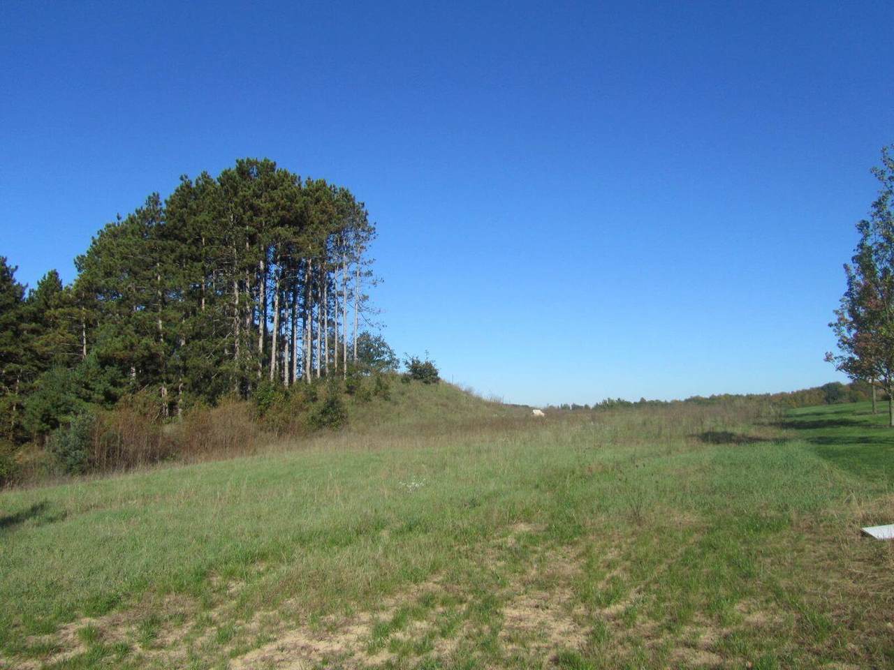 5989 Halliday Ridge Drive - Photo 1